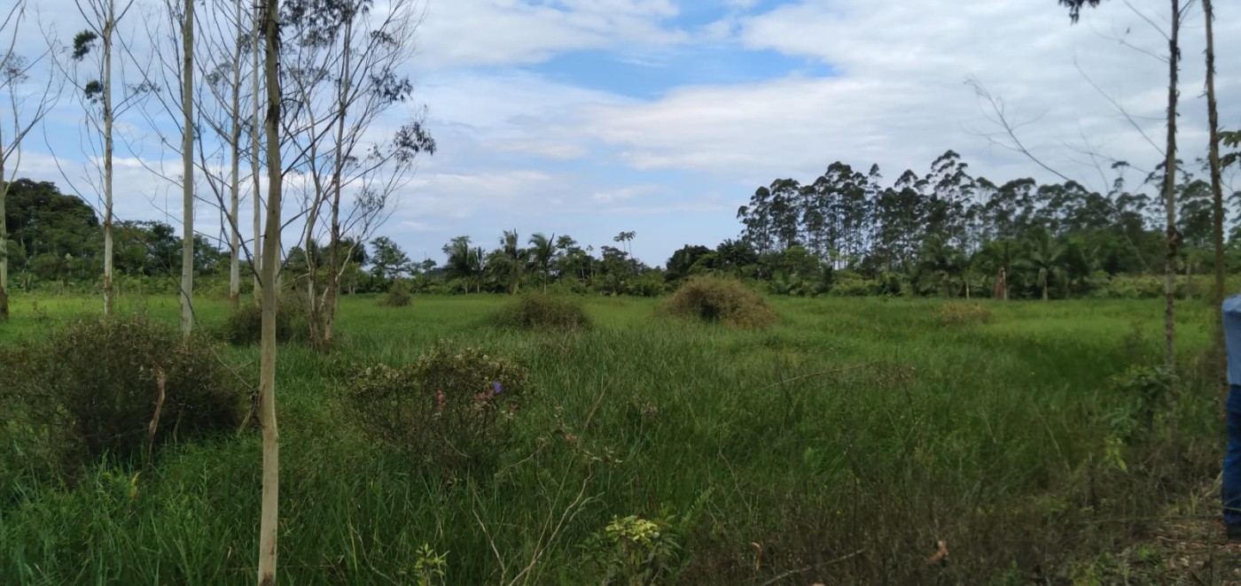 Fazenda, 2 hectares - Foto 4
