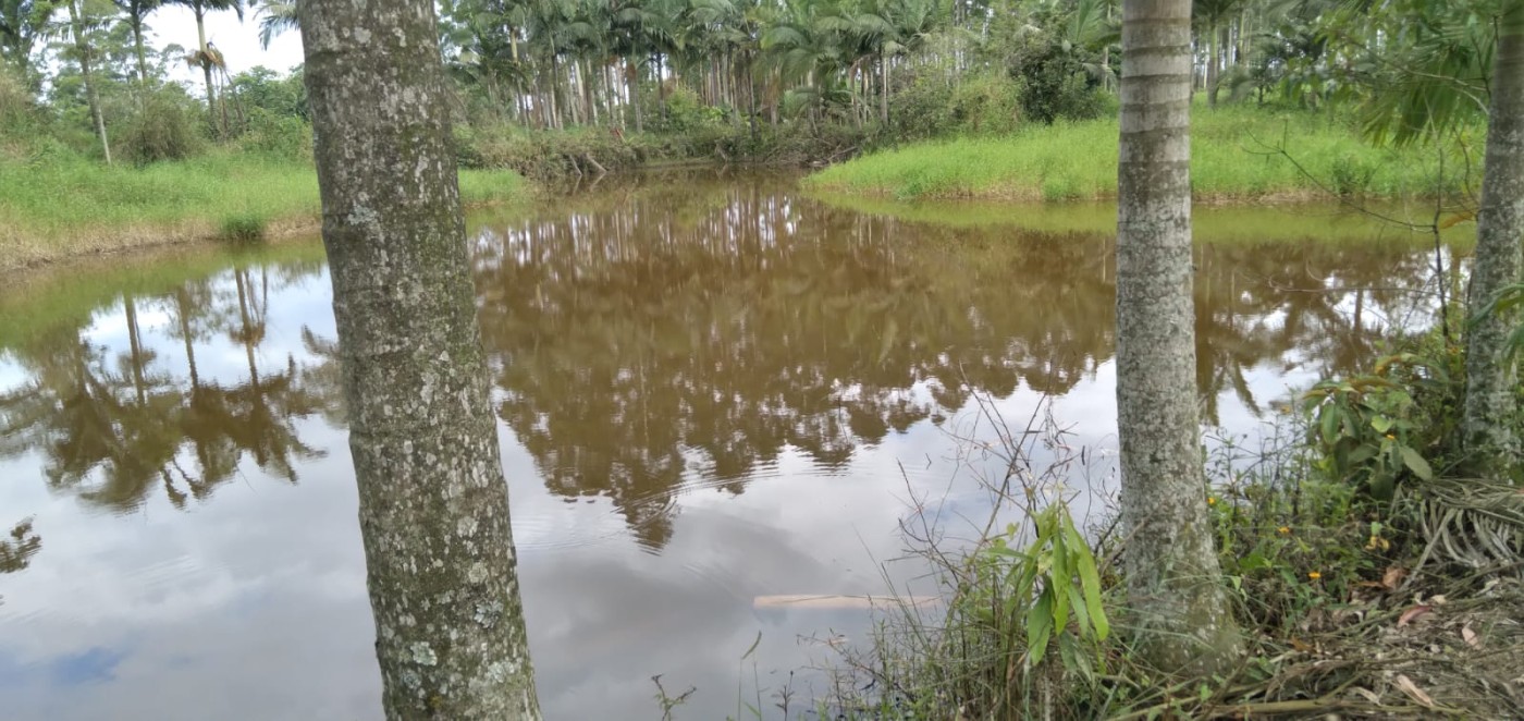 Fazenda, 2 hectares - Foto 13