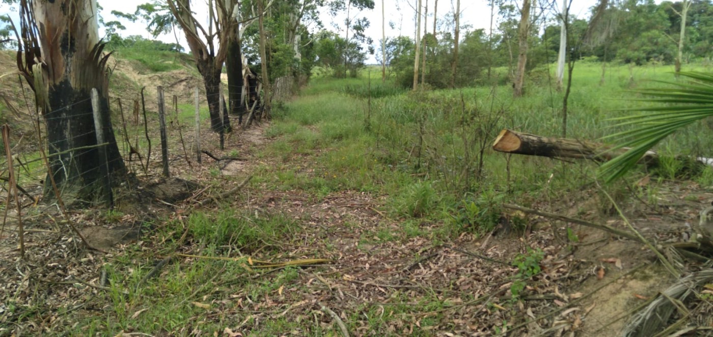 Fazenda, 2 hectares - Foto 14