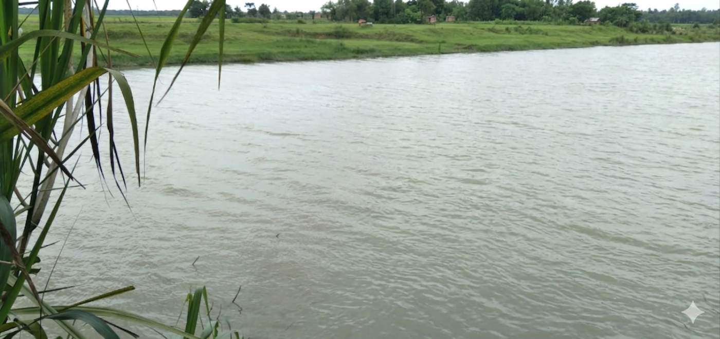 Fazenda, 2 hectares - Foto 3