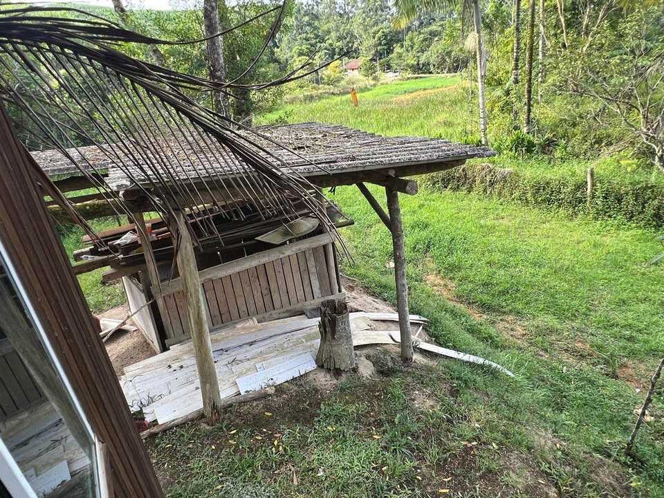 Chácara, 3 quartos, 2000 m² - Foto 15
